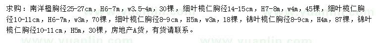 求購(gòu)南洋楹、細(xì)葉欖仁、錦葉欖仁