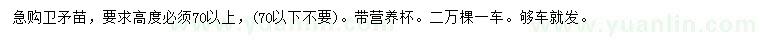 求購(gòu)高70公分以上衛(wèi)矛苗