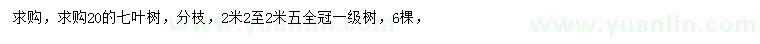 求購20公分七葉樹