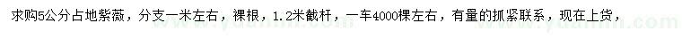 求購(gòu)5公分紫薇