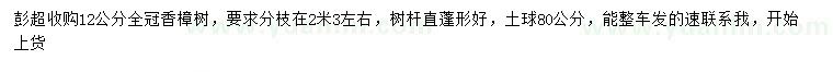 求購12公分香樟