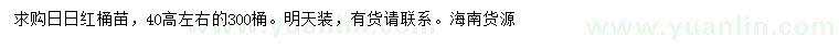 求購高40公分日日紅