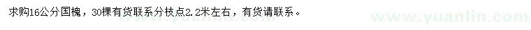 求購16公分國槐