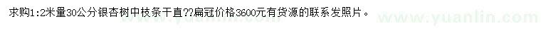 求購1.2米量30公分銀杏樹