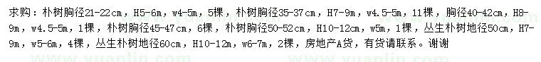 求購(gòu)胸徑21-22、35-37、40-42、45-47、50-52樸樹(shù)、地徑50、60公分叢生樸樹(shù)