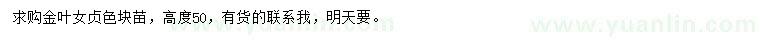 求購高50公分金葉女貞