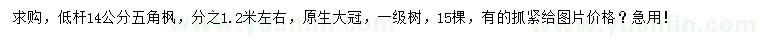 求購14公分五角楓