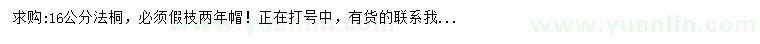 求購16公分法桐