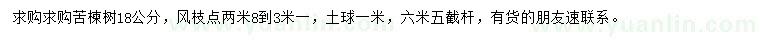 求購18公分苦楝樹