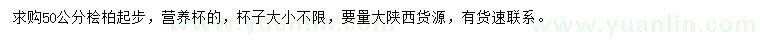 求購50公分以上檜柏