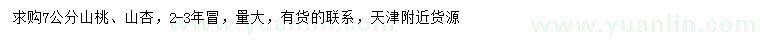 求購7公分山桃、山杏