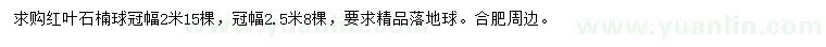 求購(gòu)冠幅2、2.5米紅葉石楠球