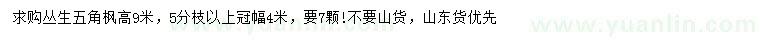 求購高9米叢生五角楓
