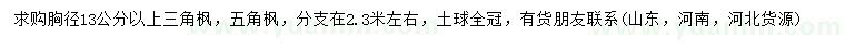 求購胸徑13公分以上三角楓、五角楓