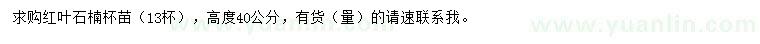 求購高40公分紅葉石楠
