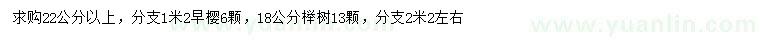 求購22公分以上早櫻