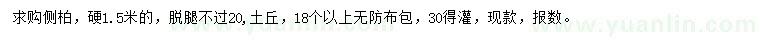 求購(gòu)側(cè)柏