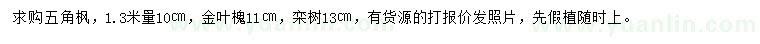 求購五角楓、金葉槐、欒樹