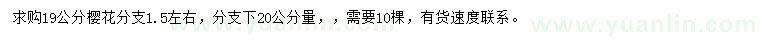 求購19公分櫻花