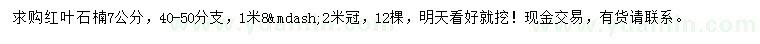 求購7公分紅葉石楠