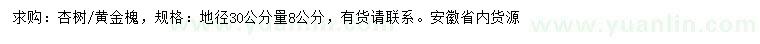 求購30量8公分杏樹、黃金槐