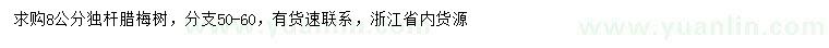 求購8公分臘梅