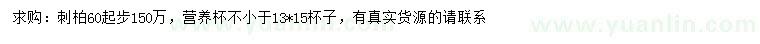 求購60公分以上刺柏