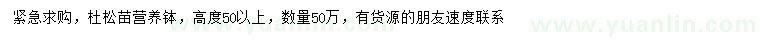 求購高50公分以上杜松