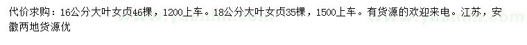 求購16、18公分大葉女貞