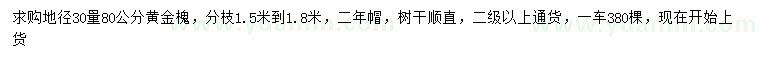 求購(gòu)地徑30量80公分黃金槐