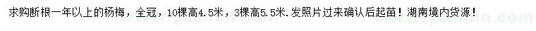求購高4.5、5.5米楊梅