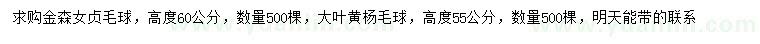求購高60公分金森女貞球