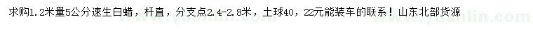求購1.2米量5公分速生白蠟
