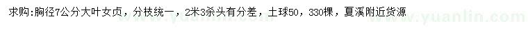 求購胸徑7公分大葉女貞
