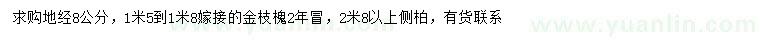 求購地徑8公分金枝槐、2.8米以上側(cè)柏