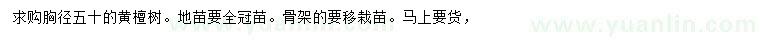 求購(gòu)胸徑50公分黃檀樹