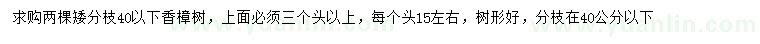 求購分枝40公分以下香樟