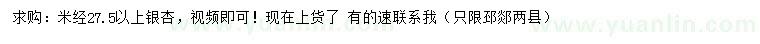 求購米徑27.5公分以上銀杏