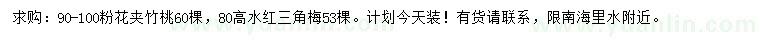 求購(gòu)90-100粉花夾竹桃、高80公分水紅三角梅