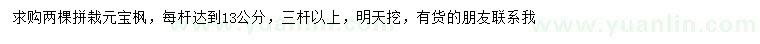 求購(gòu)三桿以上元寶楓