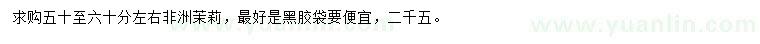 求購(gòu)50-60公分左右非洲茉莉