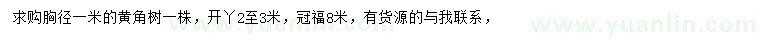 求購胸徑1米黃角樹