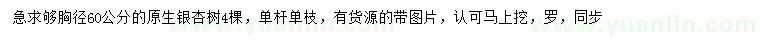 求購胸徑60公分銀杏