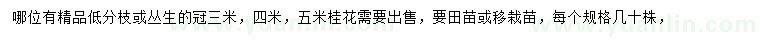 求購3、4、5米桂花