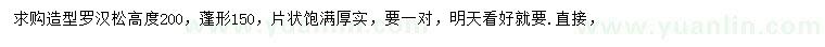 求購高200公分造型羅漢松
