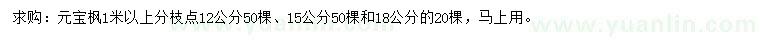 求購12、15、18公分元寶楓