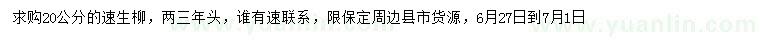 求購20公分速生柳