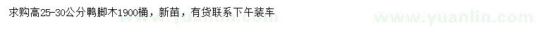 求購高25-30公分?zhù)喣_木