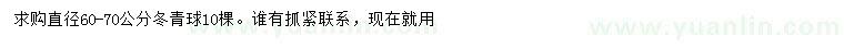 求購(gòu)直徑60-70公分冬青球