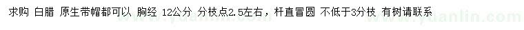 求購胸徑12公分白蠟